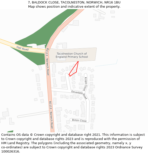7, BALDOCK CLOSE, TACOLNESTON, NORWICH, NR16 1BU: Location map and indicative extent of plot