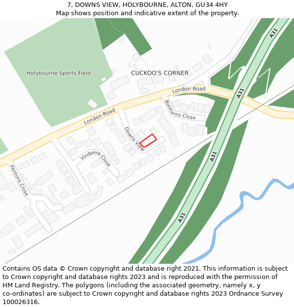 7, DOWNS VIEW, HOLYBOURNE, ALTON, GU34 4HY: Location map and indicative extent of plot