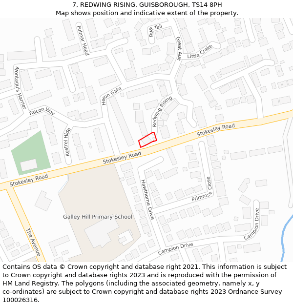 7, REDWING RISING, GUISBOROUGH, TS14 8PH: Location map and indicative extent of plot