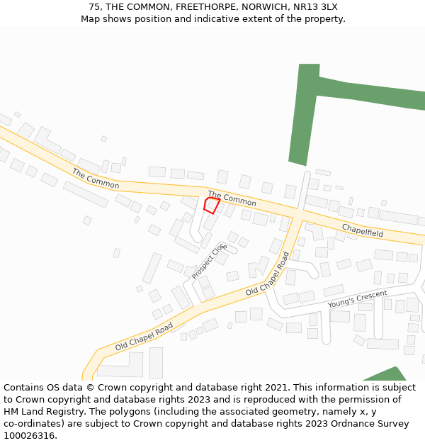 75, THE COMMON, FREETHORPE, NORWICH, NR13 3LX: Location map and indicative extent of plot