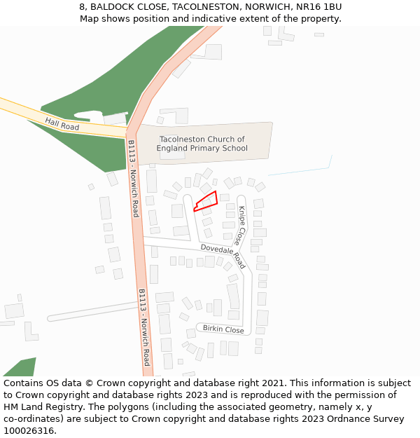 8, BALDOCK CLOSE, TACOLNESTON, NORWICH, NR16 1BU: Location map and indicative extent of plot