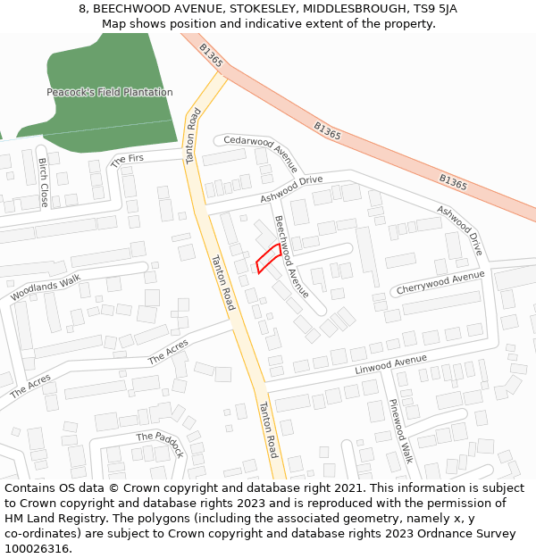 8, BEECHWOOD AVENUE, STOKESLEY, MIDDLESBROUGH, TS9 5JA: Location map and indicative extent of plot