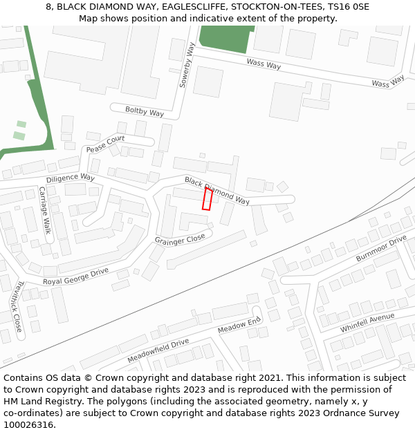 8, BLACK DIAMOND WAY, EAGLESCLIFFE, STOCKTON-ON-TEES, TS16 0SE: Location map and indicative extent of plot