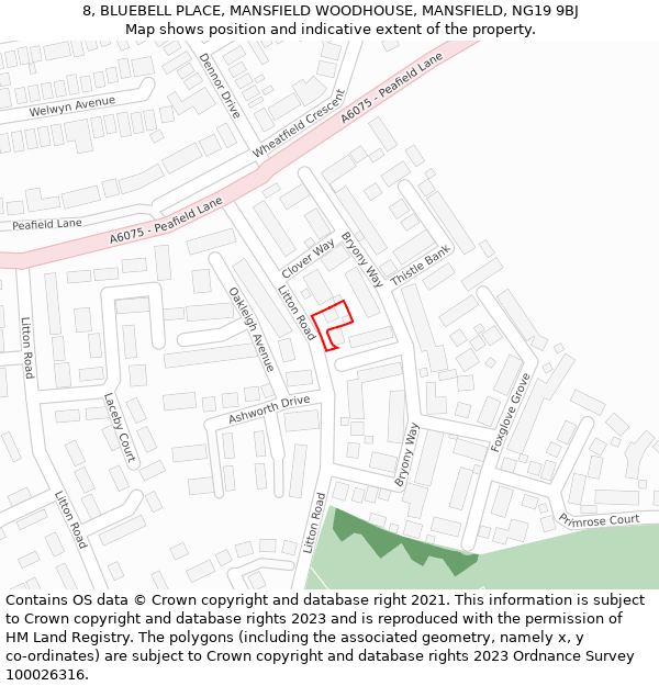 8, BLUEBELL PLACE, MANSFIELD WOODHOUSE, MANSFIELD, NG19 9BJ: Location map and indicative extent of plot