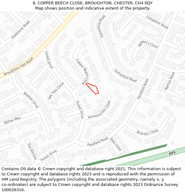 8, COPPER BEECH CLOSE, BROUGHTON, CHESTER, CH4 0QY: Location map and indicative extent of plot