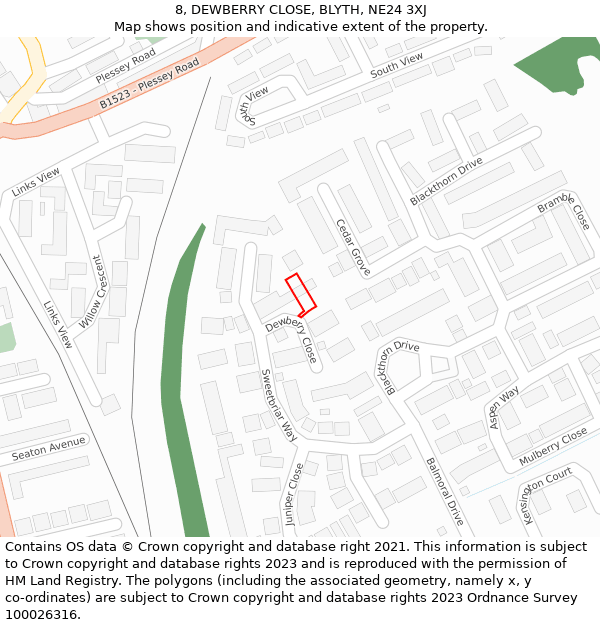 8, DEWBERRY CLOSE, BLYTH, NE24 3XJ: Location map and indicative extent of plot