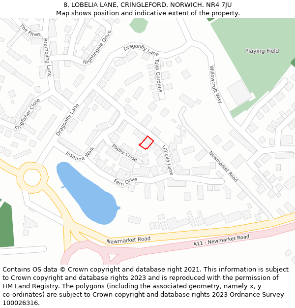 8, LOBELIA LANE, CRINGLEFORD, NORWICH, NR4 7JU: Location map and indicative extent of plot