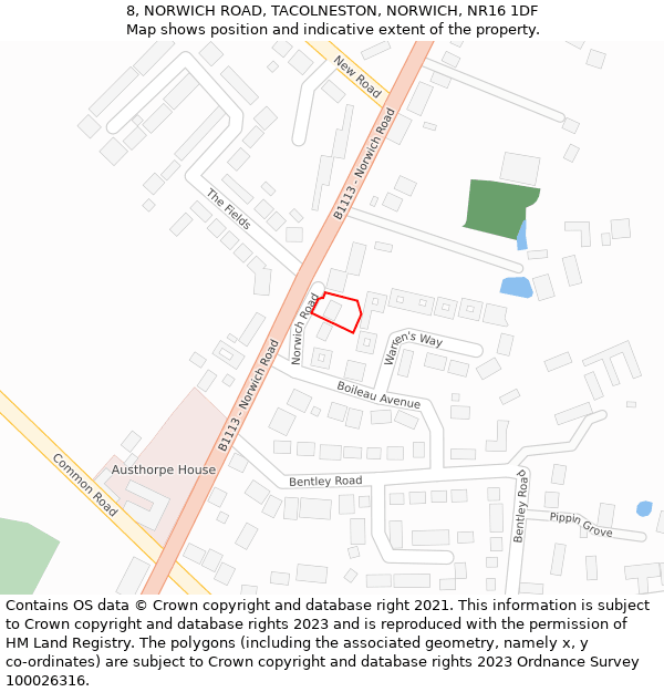 8, NORWICH ROAD, TACOLNESTON, NORWICH, NR16 1DF: Location map and indicative extent of plot