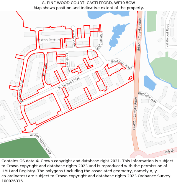 8, PINE WOOD COURT, CASTLEFORD, WF10 5GW: Location map and indicative extent of plot