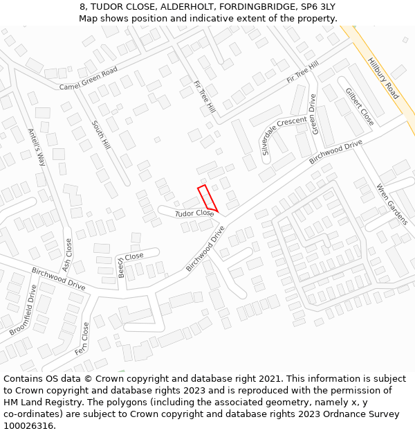 8, TUDOR CLOSE, ALDERHOLT, FORDINGBRIDGE, SP6 3LY: Location map and indicative extent of plot