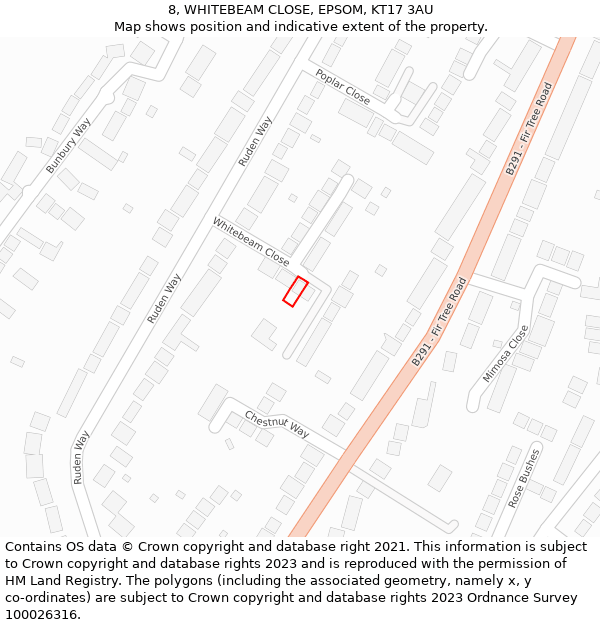 8, WHITEBEAM CLOSE, EPSOM, KT17 3AU: Location map and indicative extent of plot