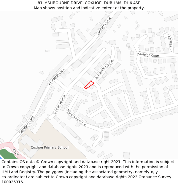 81, ASHBOURNE DRIVE, COXHOE, DURHAM, DH6 4SP: Location map and indicative extent of plot