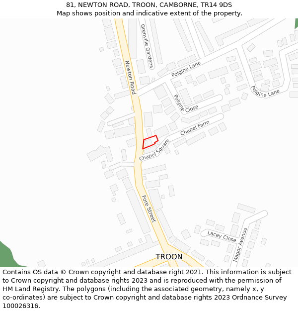 81, NEWTON ROAD, TROON, CAMBORNE, TR14 9DS: Location map and indicative extent of plot