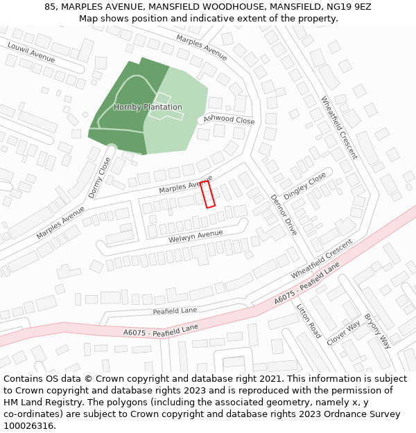 85, MARPLES AVENUE, MANSFIELD WOODHOUSE, MANSFIELD, NG19 9EZ: Location map and indicative extent of plot