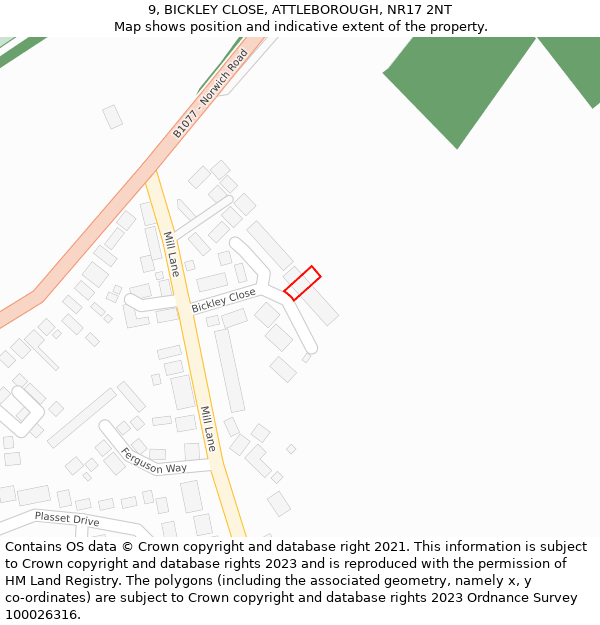 9, BICKLEY CLOSE, ATTLEBOROUGH, NR17 2NT: Location map and indicative extent of plot