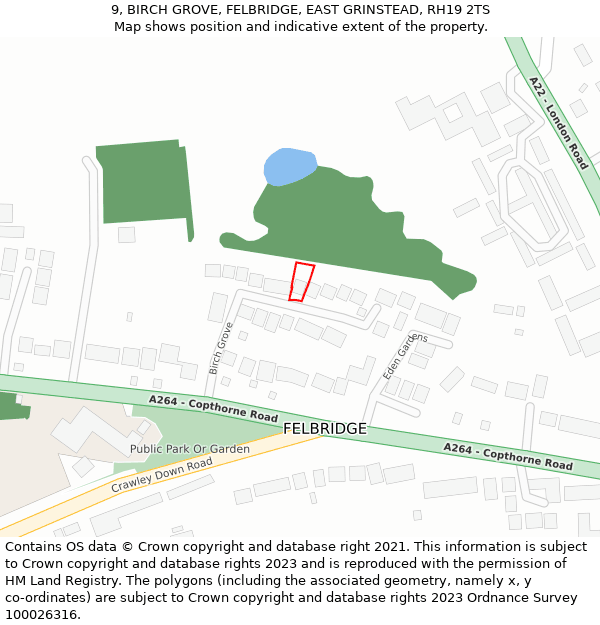 9, BIRCH GROVE, FELBRIDGE, EAST GRINSTEAD, RH19 2TS: Location map and indicative extent of plot