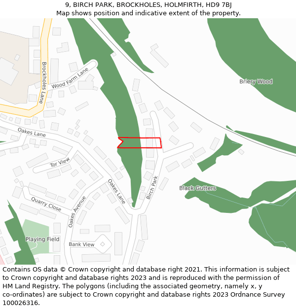 9, BIRCH PARK, BROCKHOLES, HOLMFIRTH, HD9 7BJ: Location map and indicative extent of plot