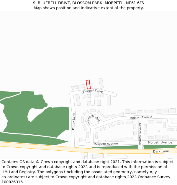 9, BLUEBELL DRIVE, BLOSSOM PARK, MORPETH, NE61 6FS: Location map and indicative extent of plot