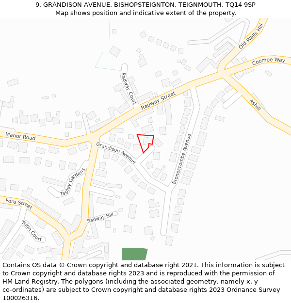 9, GRANDISON AVENUE, BISHOPSTEIGNTON, TEIGNMOUTH, TQ14 9SP: Location map and indicative extent of plot