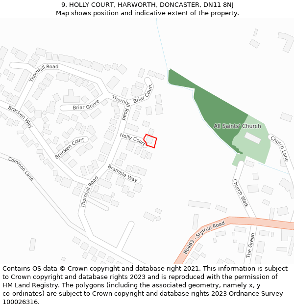 9, HOLLY COURT, HARWORTH, DONCASTER, DN11 8NJ: Location map and indicative extent of plot