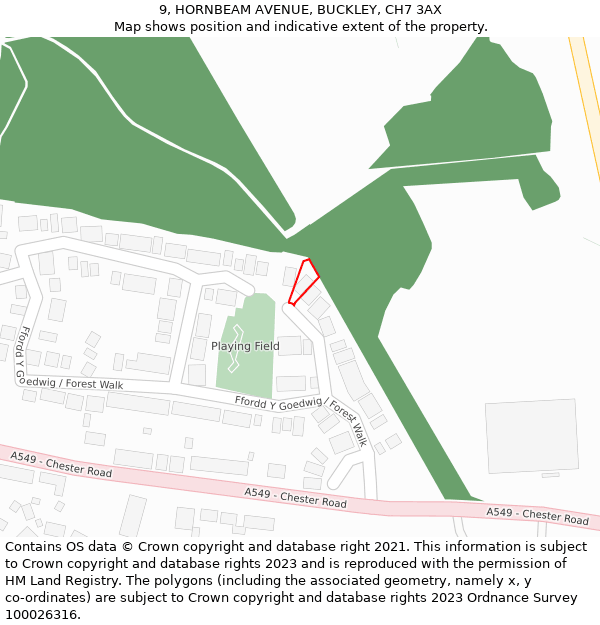 9, HORNBEAM AVENUE, BUCKLEY, CH7 3AX: Location map and indicative extent of plot
