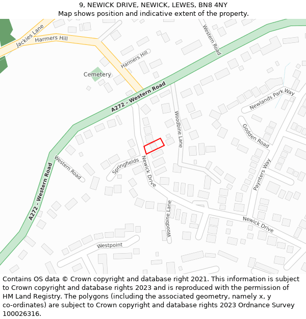 9, NEWICK DRIVE, NEWICK, LEWES, BN8 4NY: Location map and indicative extent of plot
