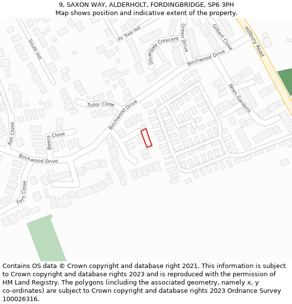 9, SAXON WAY, ALDERHOLT, FORDINGBRIDGE, SP6 3PH: Location map and indicative extent of plot