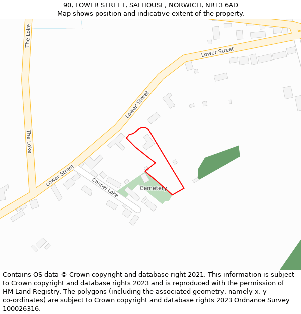 90, LOWER STREET, SALHOUSE, NORWICH, NR13 6AD: Location map and indicative extent of plot