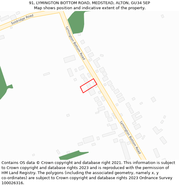 91, LYMINGTON BOTTOM ROAD, MEDSTEAD, ALTON, GU34 5EP: Location map and indicative extent of plot