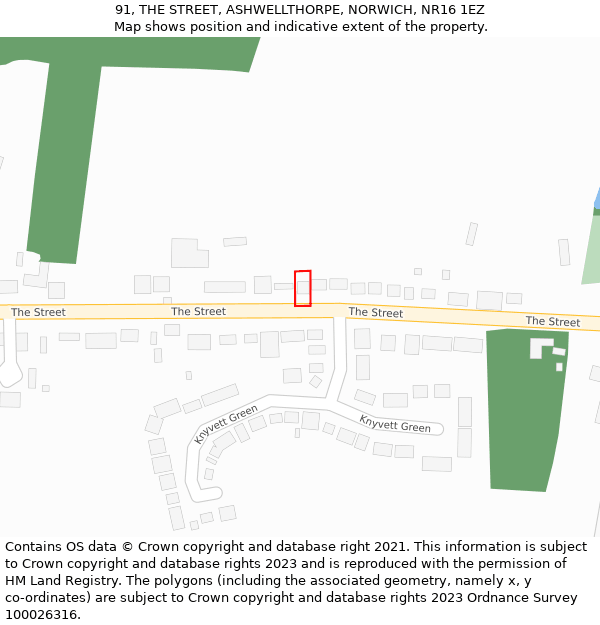 91, THE STREET, ASHWELLTHORPE, NORWICH, NR16 1EZ: Location map and indicative extent of plot