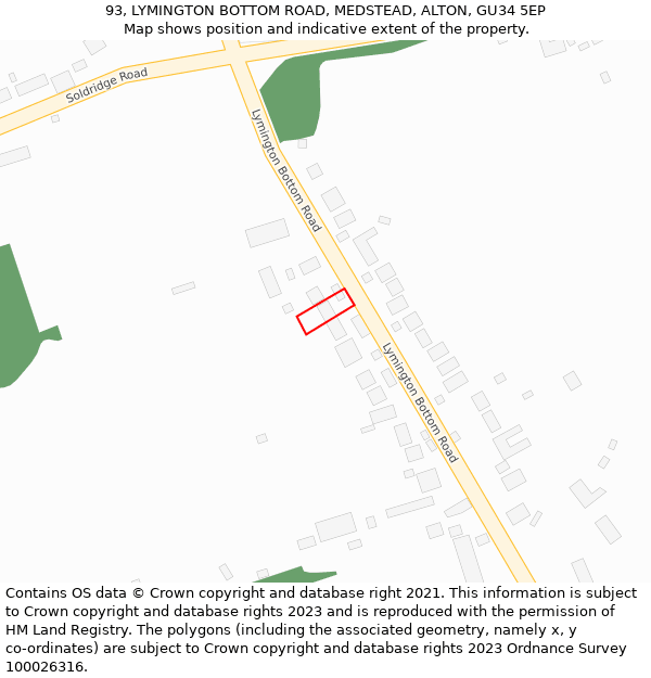 93, LYMINGTON BOTTOM ROAD, MEDSTEAD, ALTON, GU34 5EP: Location map and indicative extent of plot