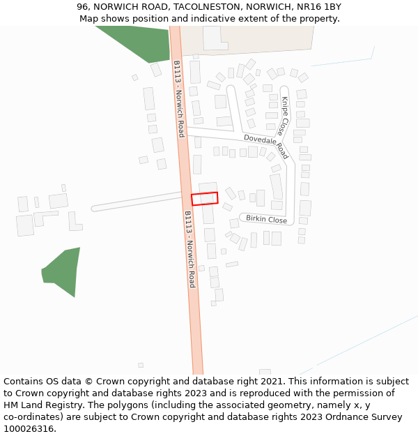 96, NORWICH ROAD, TACOLNESTON, NORWICH, NR16 1BY: Location map and indicative extent of plot