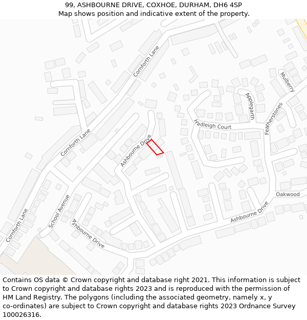 99, ASHBOURNE DRIVE, COXHOE, DURHAM, DH6 4SP: Location map and indicative extent of plot