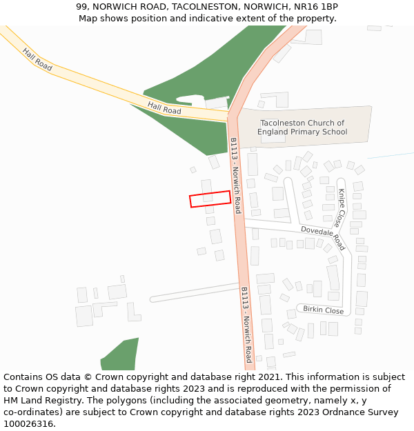 99, NORWICH ROAD, TACOLNESTON, NORWICH, NR16 1BP: Location map and indicative extent of plot