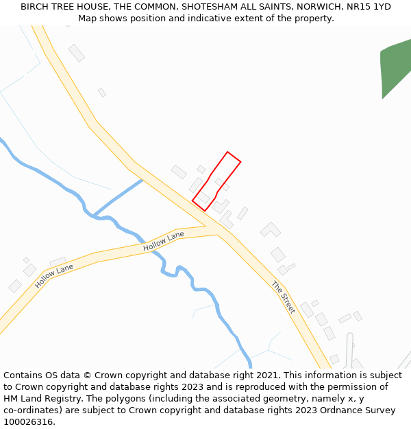 BIRCH TREE HOUSE, THE COMMON, SHOTESHAM ALL SAINTS, NORWICH, NR15 1YD: Location map and indicative extent of plot