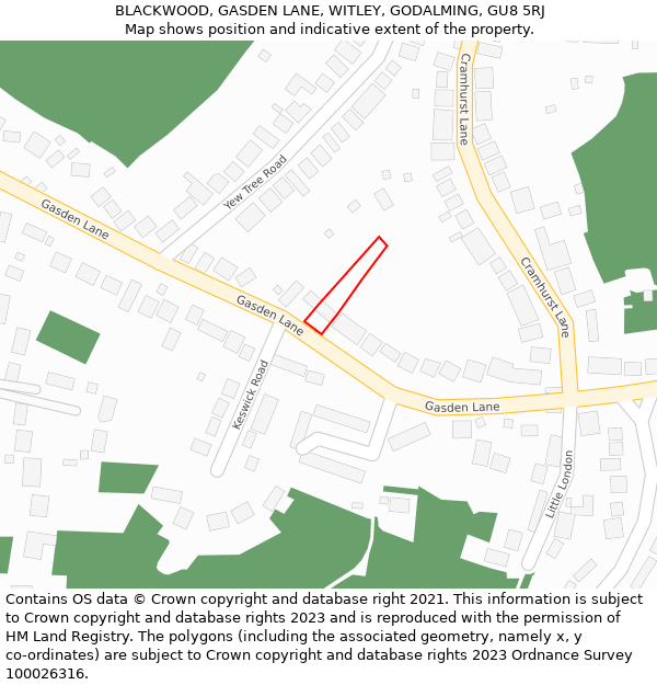 BLACKWOOD, GASDEN LANE, WITLEY, GODALMING, GU8 5RJ: Location map and indicative extent of plot