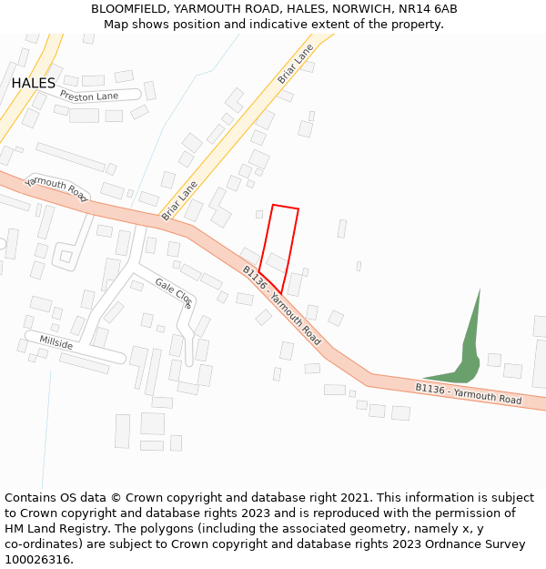 BLOOMFIELD, YARMOUTH ROAD, HALES, NORWICH, NR14 6AB: Location map and indicative extent of plot
