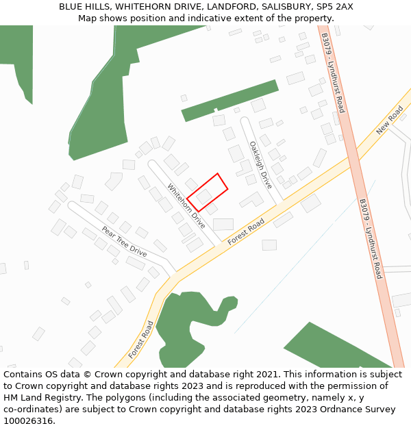 BLUE HILLS, WHITEHORN DRIVE, LANDFORD, SALISBURY, SP5 2AX: Location map and indicative extent of plot