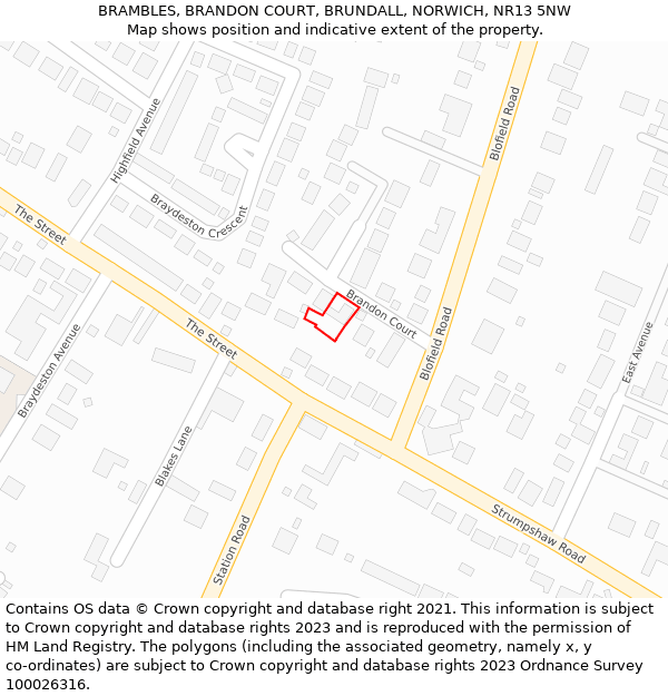 BRAMBLES, BRANDON COURT, BRUNDALL, NORWICH, NR13 5NW: Location map and indicative extent of plot