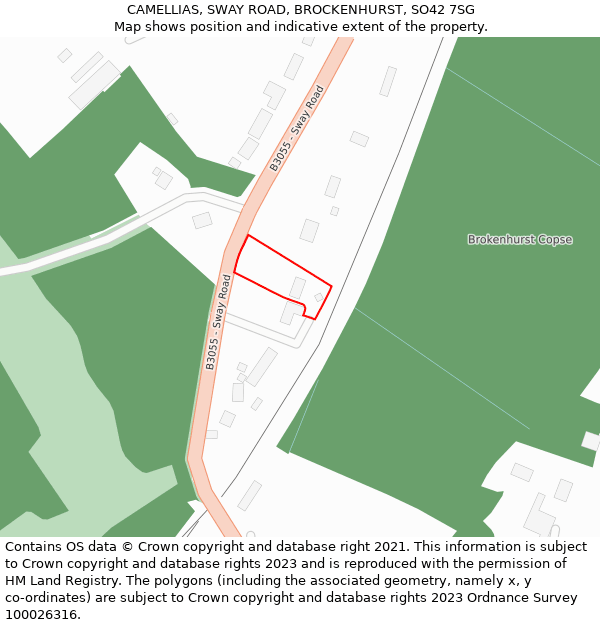 CAMELLIAS, SWAY ROAD, BROCKENHURST, SO42 7SG: Location map and indicative extent of plot