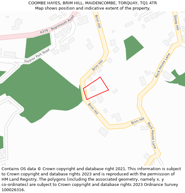 COOMBE HAYES, BRIM HILL, MAIDENCOMBE, TORQUAY, TQ1 4TR: Location map and indicative extent of plot