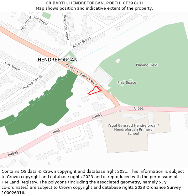 CRIBARTH, HENDREFORGAN, PORTH, CF39 8UH: Location map and indicative extent of plot