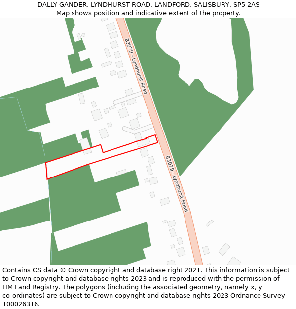 DALLY GANDER, LYNDHURST ROAD, LANDFORD, SALISBURY, SP5 2AS: Location map and indicative extent of plot