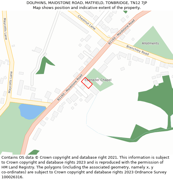 DOLPHINS, MAIDSTONE ROAD, MATFIELD, TONBRIDGE, TN12 7JP: Location map and indicative extent of plot