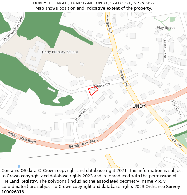 DUMPSIE DINGLE, TUMP LANE, UNDY, CALDICOT, NP26 3BW: Location map and indicative extent of plot