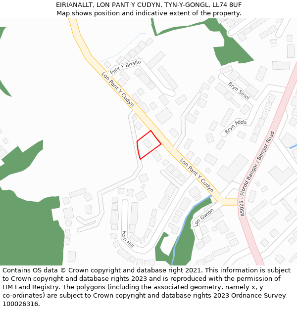 EIRIANALLT, LON PANT Y CUDYN, TYN-Y-GONGL, LL74 8UF: Location map and indicative extent of plot