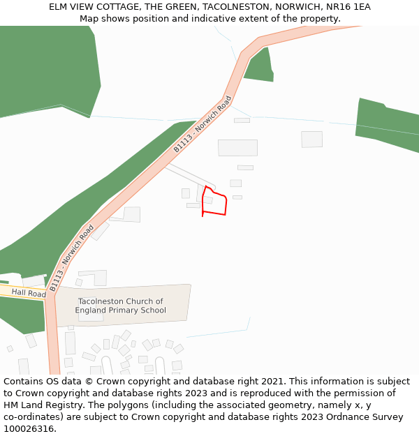 ELM VIEW COTTAGE, THE GREEN, TACOLNESTON, NORWICH, NR16 1EA: Location map and indicative extent of plot