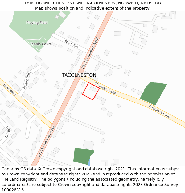 FAIRTHORNE, CHENEYS LANE, TACOLNESTON, NORWICH, NR16 1DB: Location map and indicative extent of plot