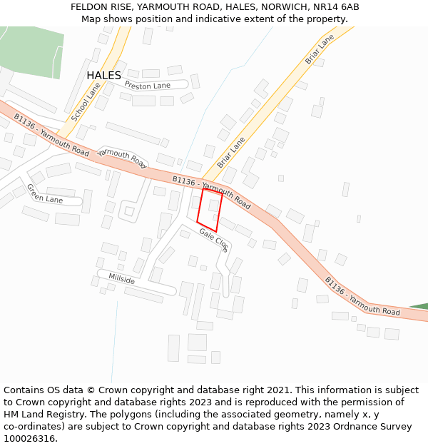 FELDON RISE, YARMOUTH ROAD, HALES, NORWICH, NR14 6AB: Location map and indicative extent of plot