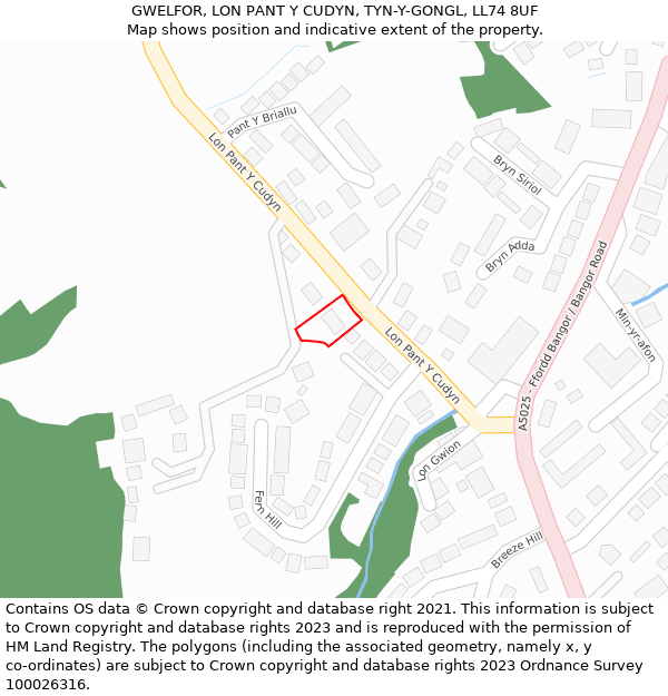 GWELFOR, LON PANT Y CUDYN, TYN-Y-GONGL, LL74 8UF: Location map and indicative extent of plot